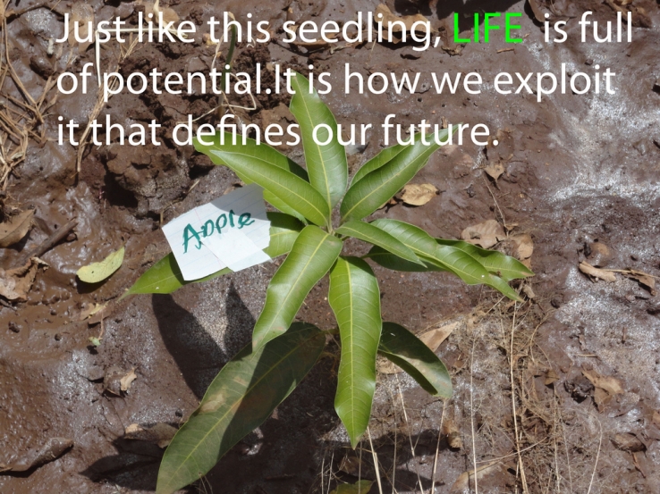 Life is full of Potential