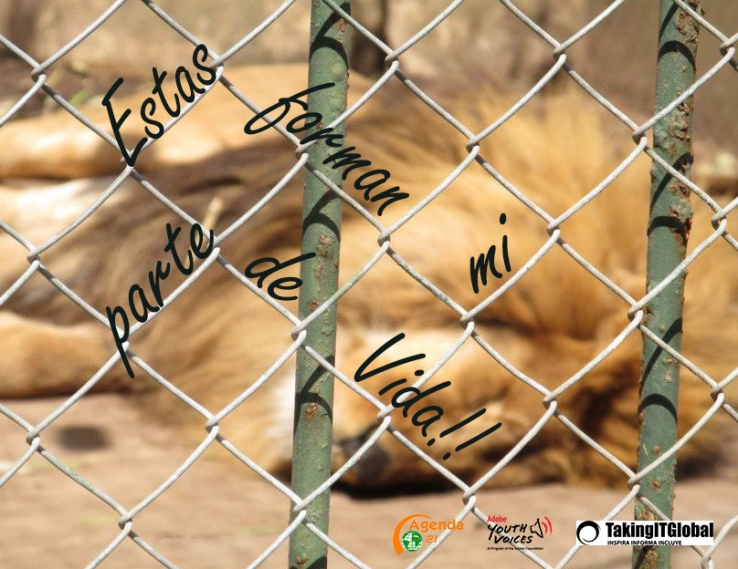 Living behind bars