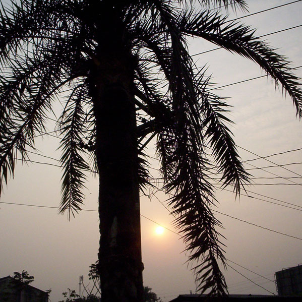 Environment