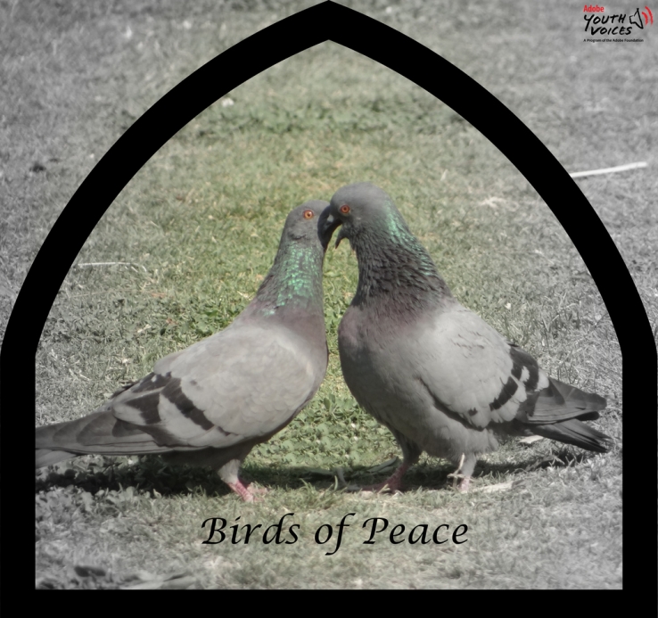 Peace & Love