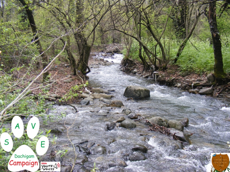 Save Dachigam Campaign