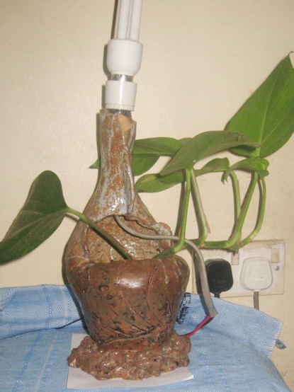 Multifunctional Ceramic art pieces.(Uganda)