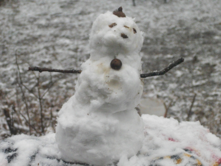 Snowman of the First Snow