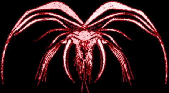 The Vermillion Angel