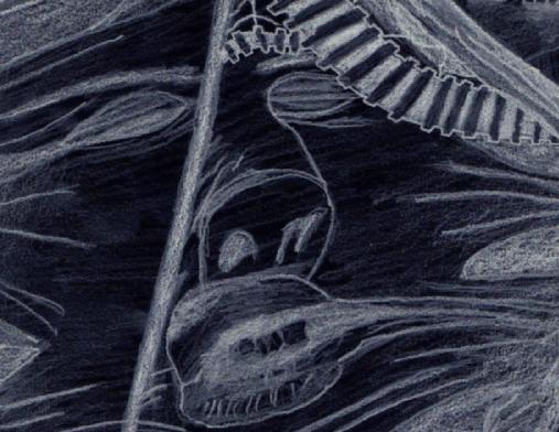 Why the long face?