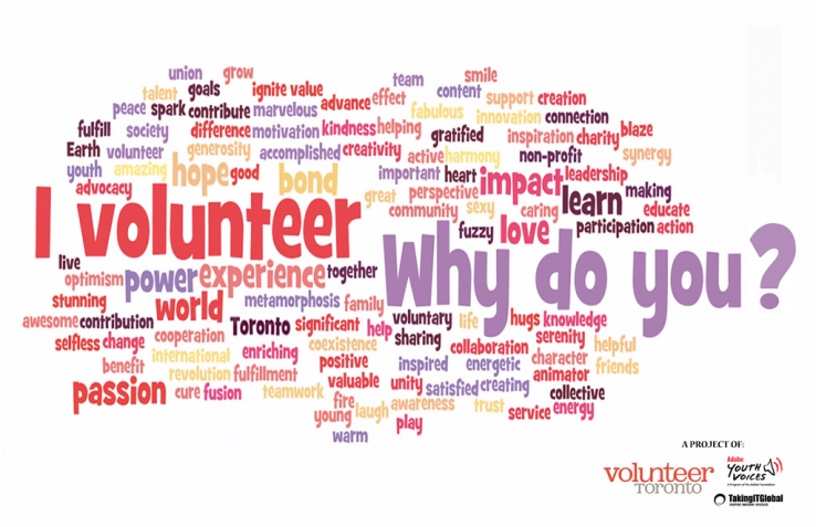 2 - Why Volunteer