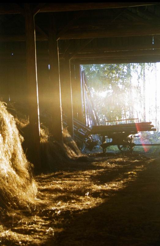 Golden fog through the aperture of hayloft