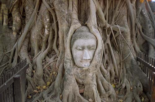 Nature Protects the Divine