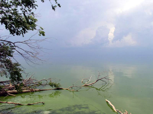 Цимлянское водохранилище, вблизи АЭС, как на другой планете..