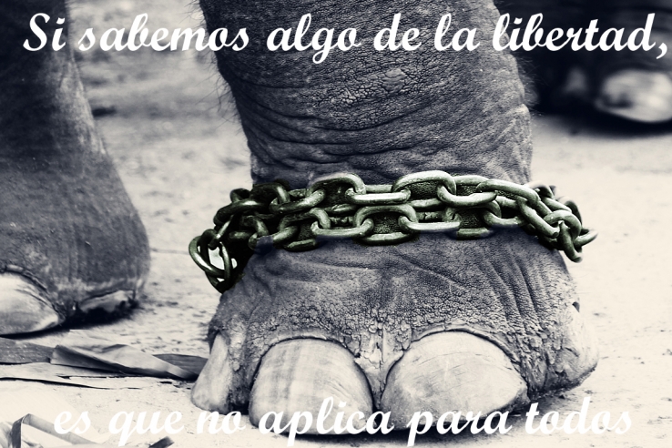 Elephantee