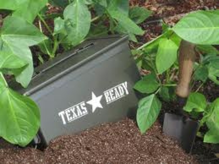 emergency seeds