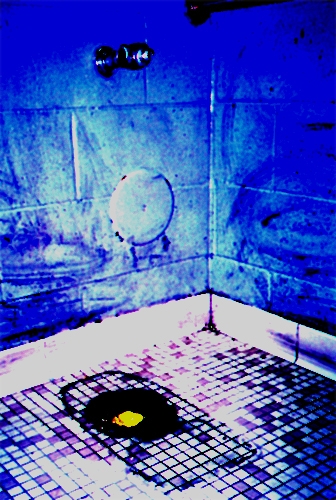 Missing Toilet