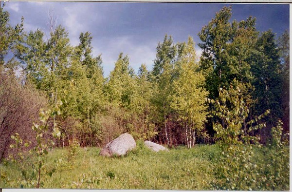 Лесная поляна