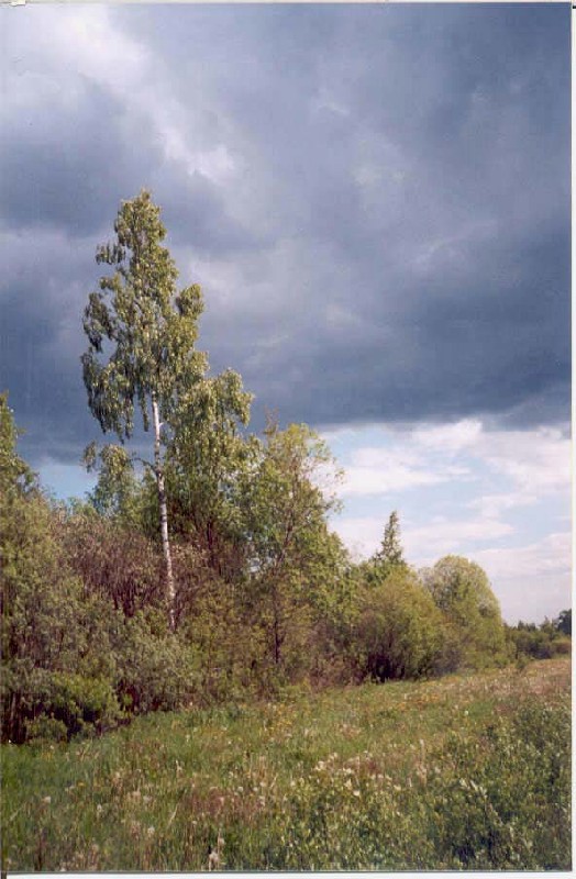 Перед грозой