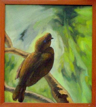 GAllito de las Rocas