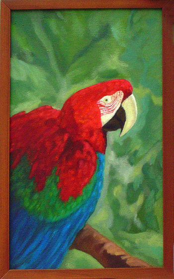 Guacamayo
