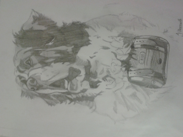st bernard