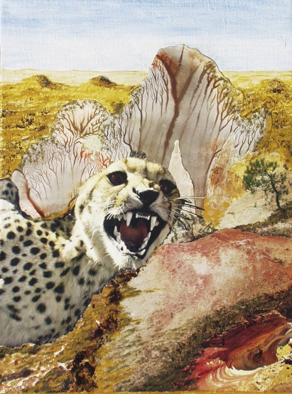 Desert with Gepard