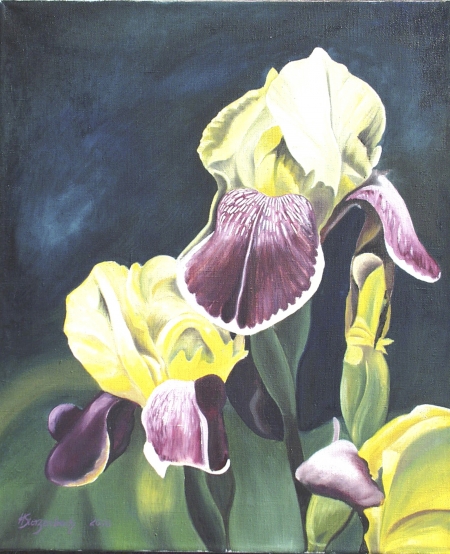 Fleur-de-Lis 7