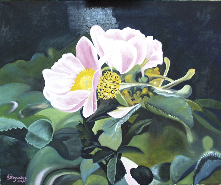 Wild Roses