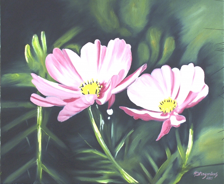 Abloom of Cosmos Bipinatus