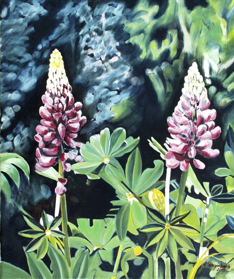 Lupins