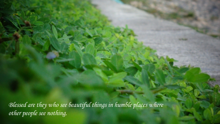 Humble Places