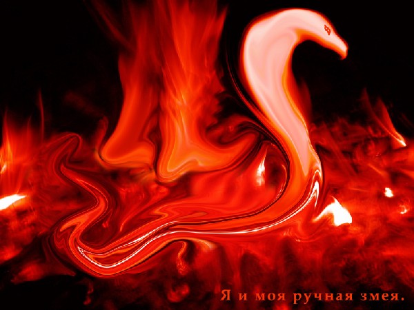 Snake