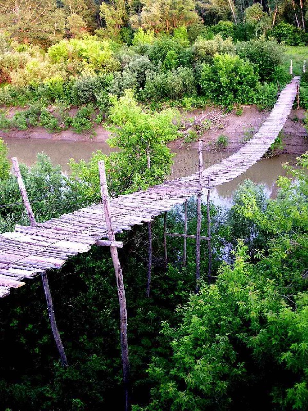 bridge