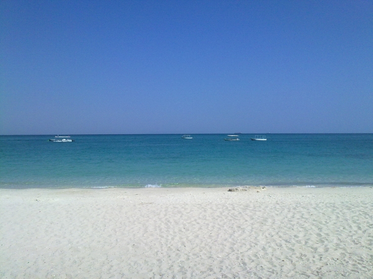 Blue Peace