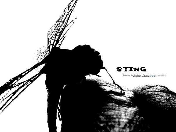 Sting