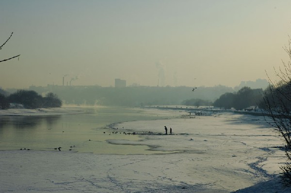 Московская зима. Речные птицы