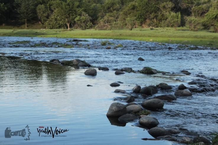 Yes to the river