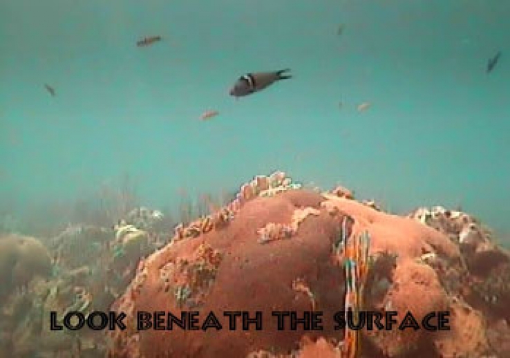 Under the Haiti Sea