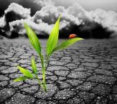 Climate Change