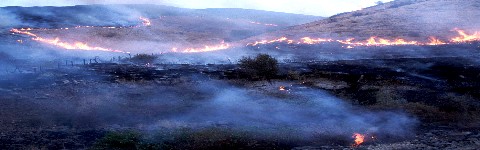 Natural Disasters